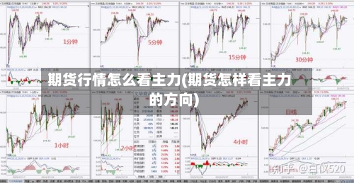 期货行情怎么看主力(期货怎样看主力的方向)