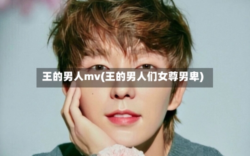 王的男人mv(王的男人们女尊男卑)