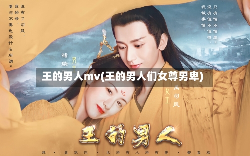 王的男人mv(王的男人们女尊男卑)-第2张图片