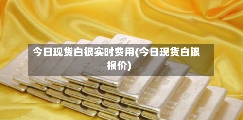 今日现货白银实时费用(今日现货白银报价)-第2张图片