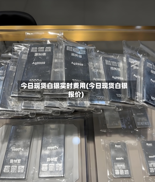 今日现货白银实时费用(今日现货白银报价)