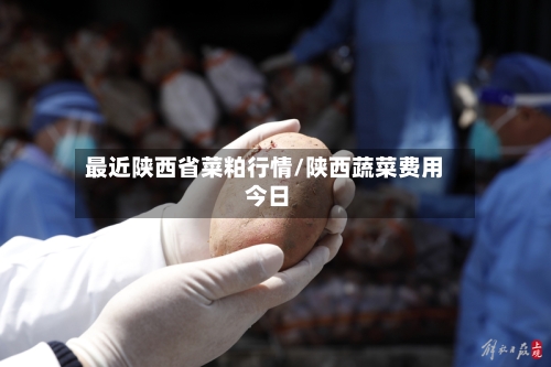 最近陕西省菜粕行情/陕西蔬菜费用 今日