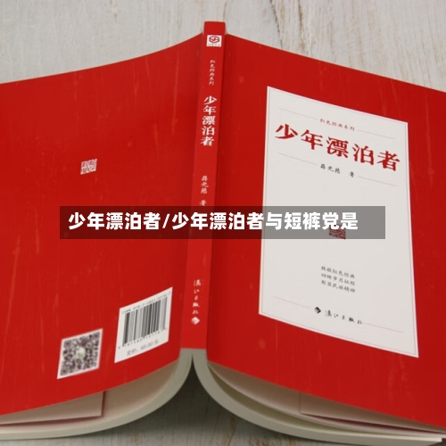 少年漂泊者/少年漂泊者与短裤党是