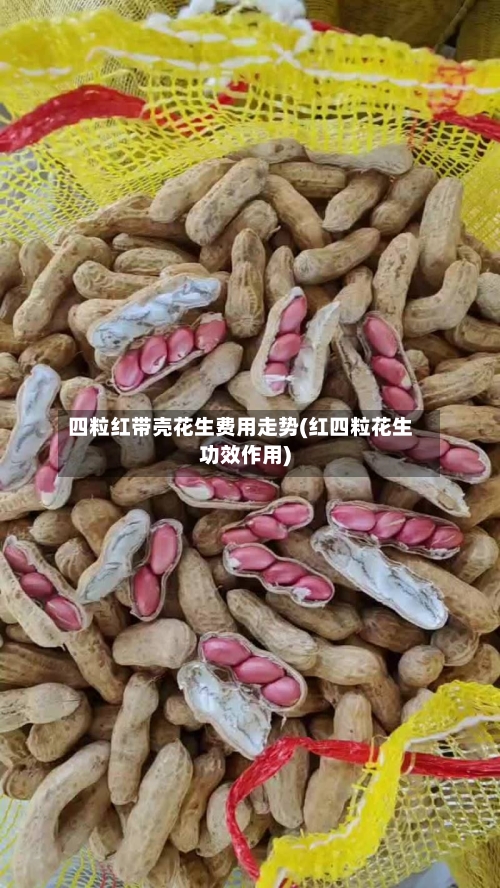 四粒红带壳花生费用走势(红四粒花生功效作用)-第3张图片
