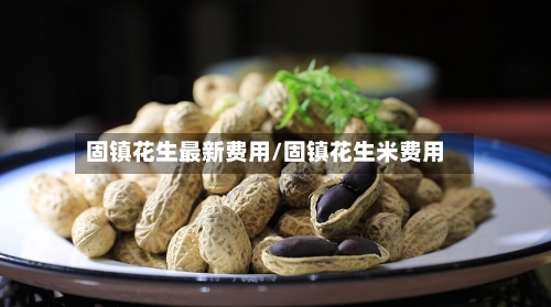 固镇花生最新费用/固镇花生米费用