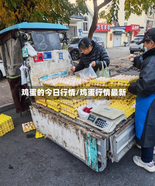 鸡蛋的今日行情/鸡蛋行情最新-第2张图片