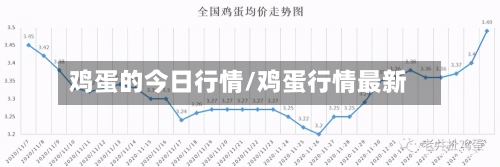鸡蛋的今日行情/鸡蛋行情最新