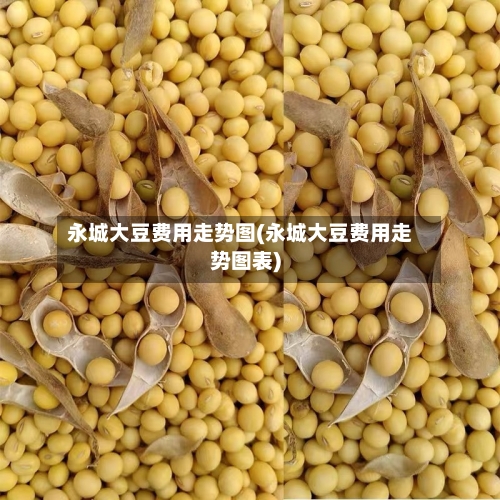 永城大豆费用走势图(永城大豆费用走势图表)