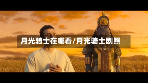 月光骑士在哪看/月光骑士剧照