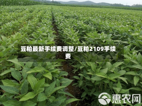 豆粕最新手续费调整/豆粕2109手续费
