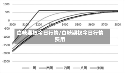 白糖期权今日行情/白糖期权今日行情费用-第3张图片