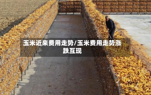 玉米近来费用走势/玉米费用走势涨跌互现-第2张图片