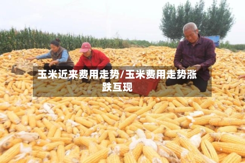 玉米近来费用走势/玉米费用走势涨跌互现