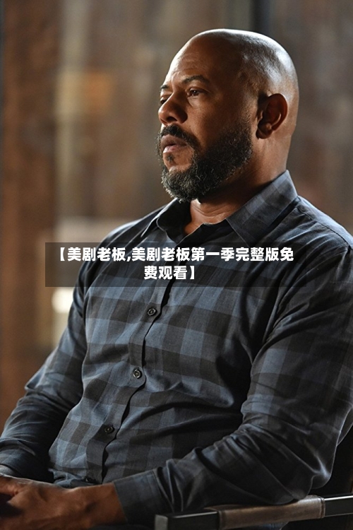 【美剧老板,美剧老板第一季完整版免费观看】-第2张图片