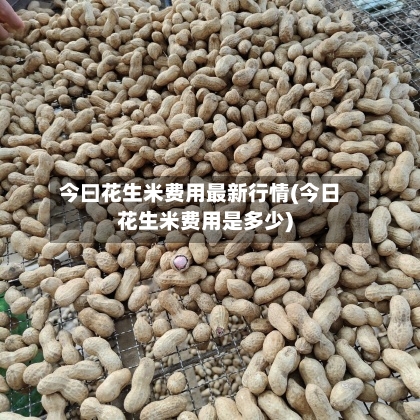 今曰花生米费用最新行情(今日花生米费用是多少)-第3张图片