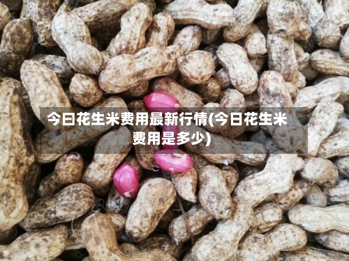 今曰花生米费用最新行情(今日花生米费用是多少)-第2张图片