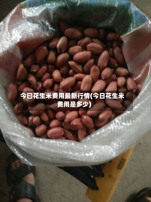 今曰花生米费用最新行情(今日花生米费用是多少)