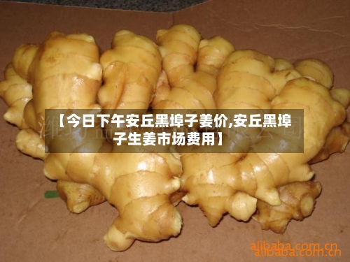 【今日下午安丘黑埠子姜价,安丘黑埠子生姜市场费用】-第2张图片