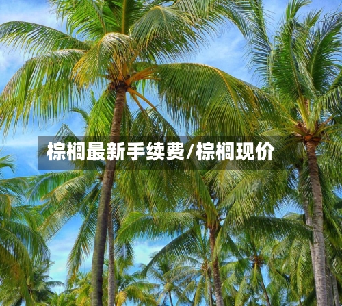 棕榈最新手续费/棕榈现价