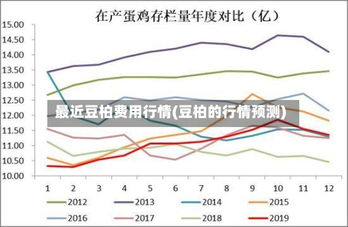 最近豆柏费用行情(豆柏的行情预测)