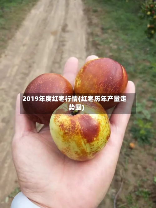 2019年度红枣行情(红枣历年产量走势图)-第3张图片