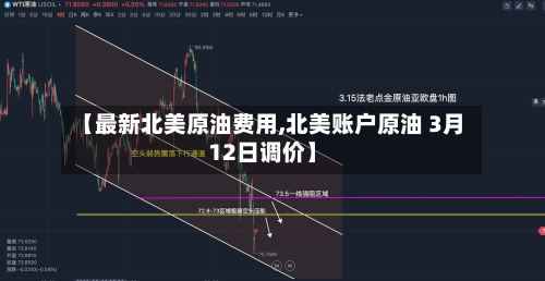 【最新北美原油费用,北美账户原油 3月12日调价】-第2张图片
