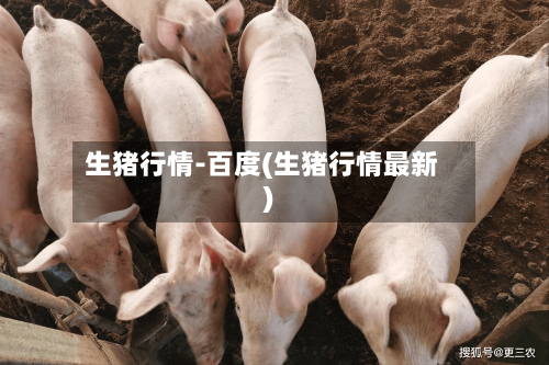 生猪行情-百度(生猪行情最新)