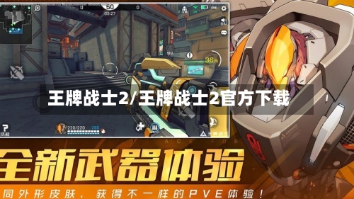 王牌战士2/王牌战士2官方下载