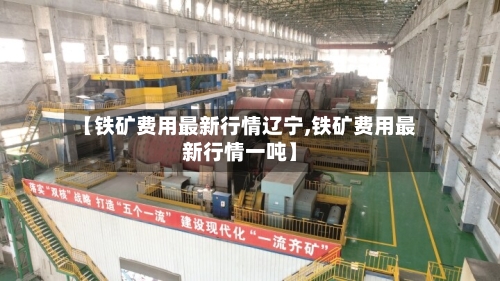 【铁矿费用最新行情辽宁,铁矿费用最新行情一吨】