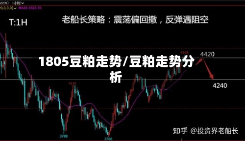 1805豆粕走势/豆粕走势分析