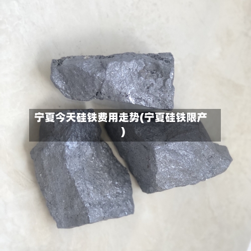 宁夏今天硅铁费用走势(宁夏硅铁限产)