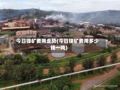 今日镍矿费用走势(今日镍矿费用多少钱一吨)-第3张图片