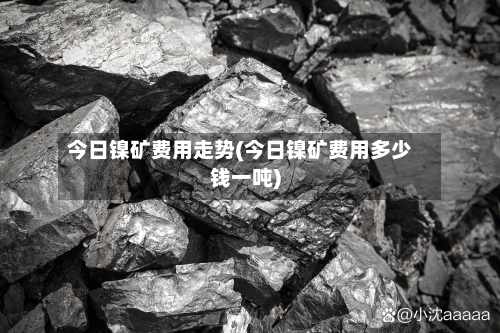 今日镍矿费用走势(今日镍矿费用多少钱一吨)
