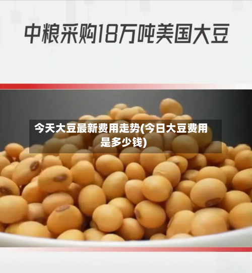今天大豆最新费用走势(今日大豆费用是多少钱)