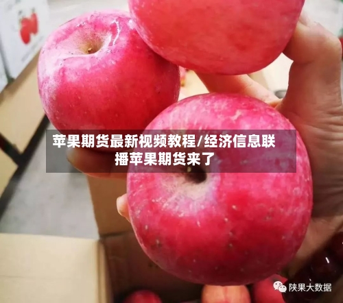 苹果期货最新视频教程/经济信息联播苹果期货来了