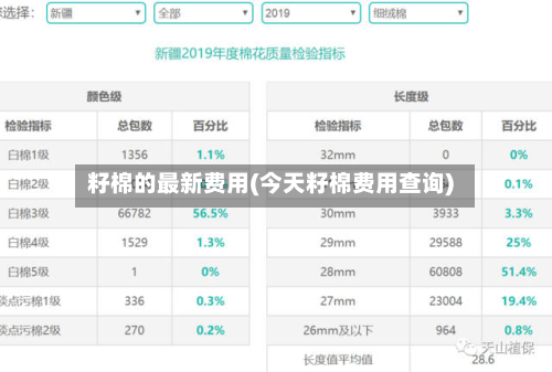 籽棉的最新费用(今天籽棉费用查询)
