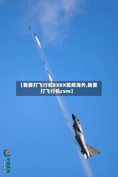 【我要打飞行机8X8X视频海外,我要打飞行机cvm】-第2张图片