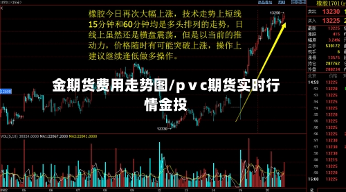 金期货费用走势图/pⅴc期货实时行情金投