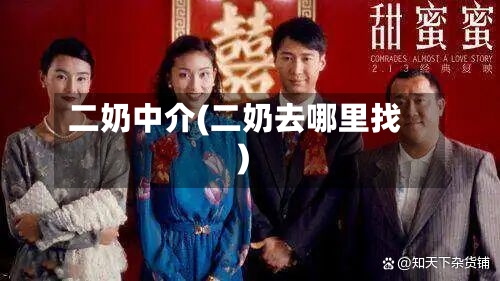 二奶中介(二奶去哪里找)-第2张图片