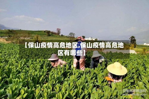 【保山疫情高危地区,保山疫情高危地区有哪些】