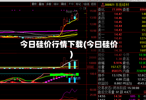 今日硅价行情下载(今曰硅价)-第2张图片