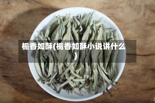 栀香如酥(栀香如酥小说讲什么)-第2张图片