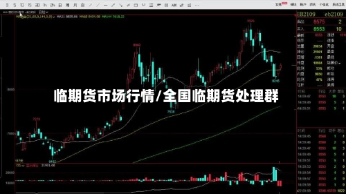 临期货市场行情/全国临期货处理群