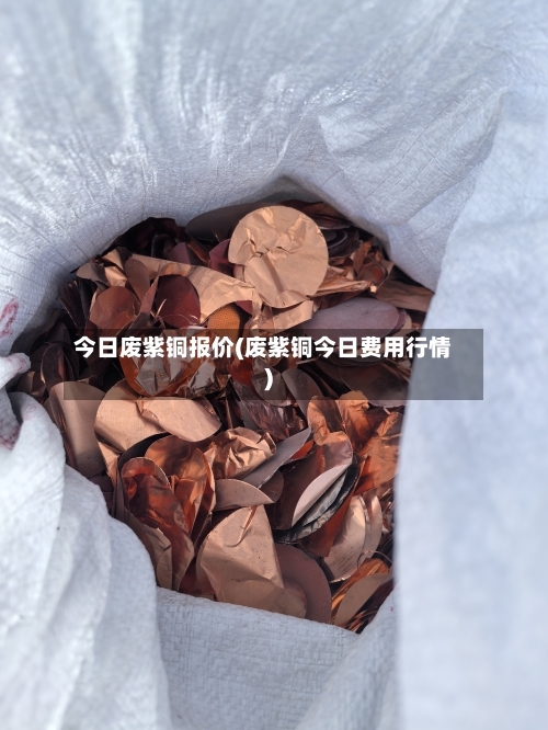 今日废紫铜报价(废紫铜今日费用行情)-第2张图片