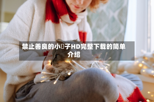 禁止善良的小峓子HD完整下载的简单介绍