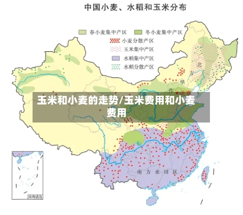 玉米和小麦的走势/玉米费用和小麦费用