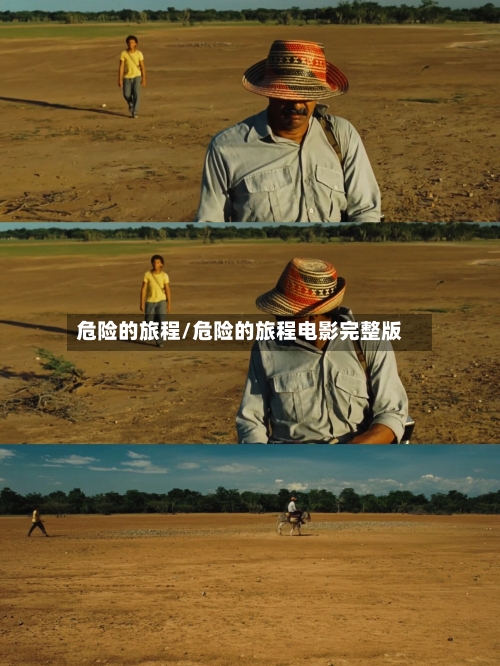 危险的旅程/危险的旅程电影完整版