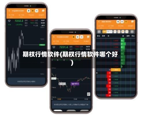 期权行情软件(期权行情软件哪个好)-第2张图片