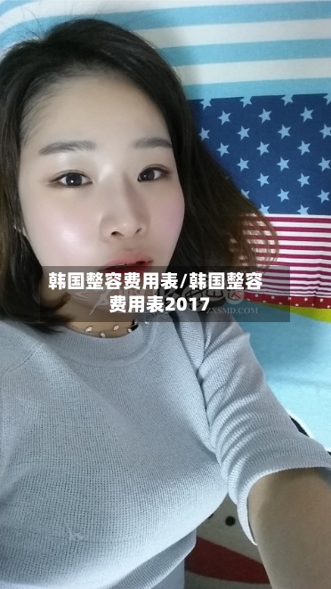 韩国整容费用表/韩国整容费用表2017-第2张图片