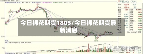 今日棉花期货1805/今日棉花期货最新消息